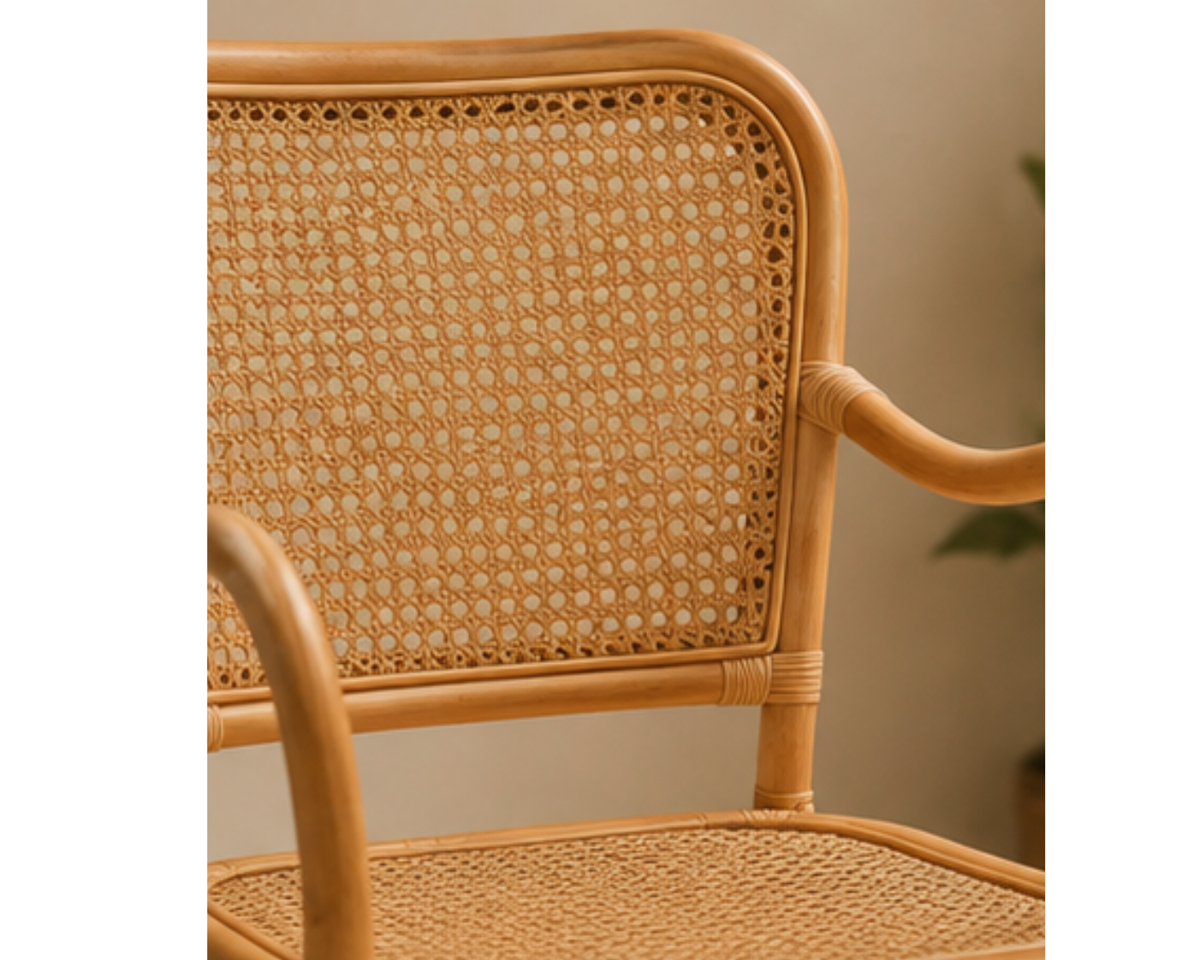 Chaise rotin et cannage avec accoudoirs | CANNA